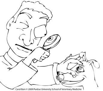Free Coloring Pages 344x303 Free Coloring Pages