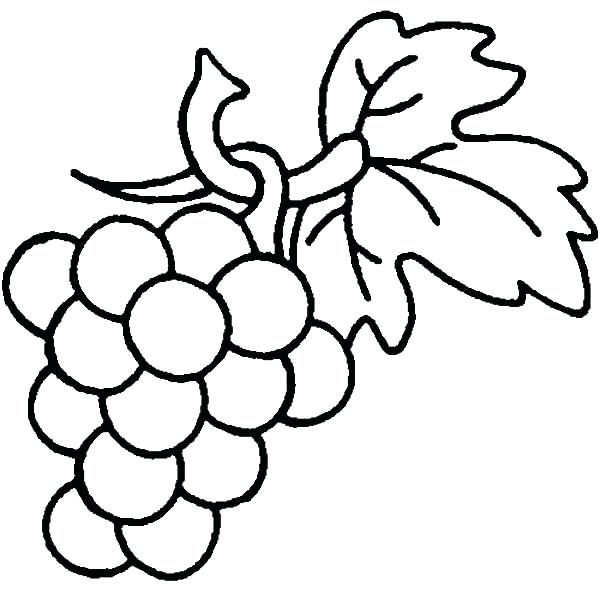 600x600 Grapes Coloring Page Bunch Of Grapes Coloring Page Grape Vine