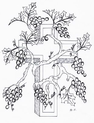 310x405 Jesus Is The True Vine ~ Sunday School Lesson Bible Lessons