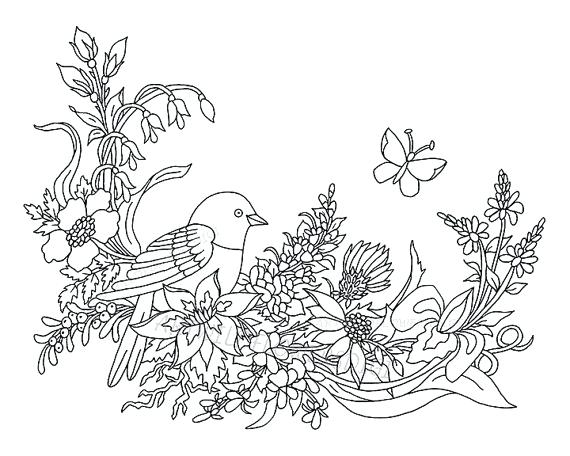 570x456 Coloring Pages Cute Food Wildflower Rose Bouquet For Adult Bird