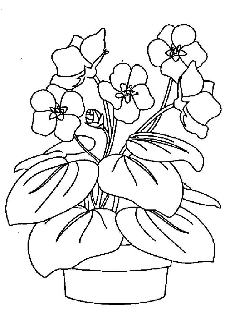750x1000 Violet Coloring Pages. Download And Print Violet Coloring Pages