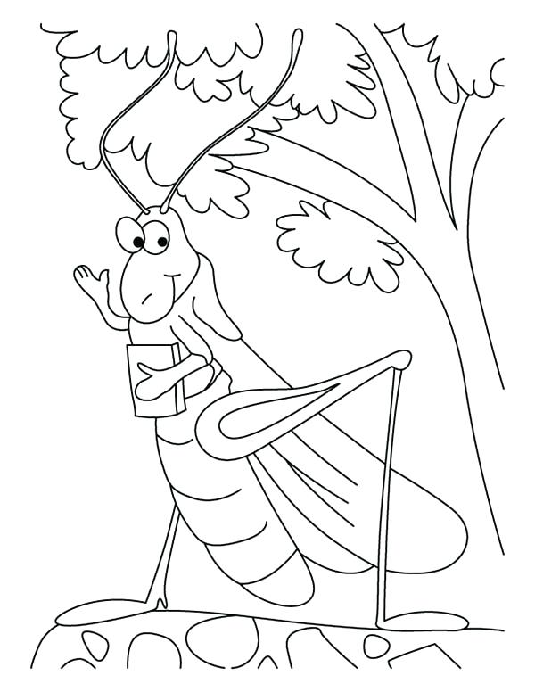 600x776 Grasshopper Coloring Pages Grasshopper Play Violin On Flower