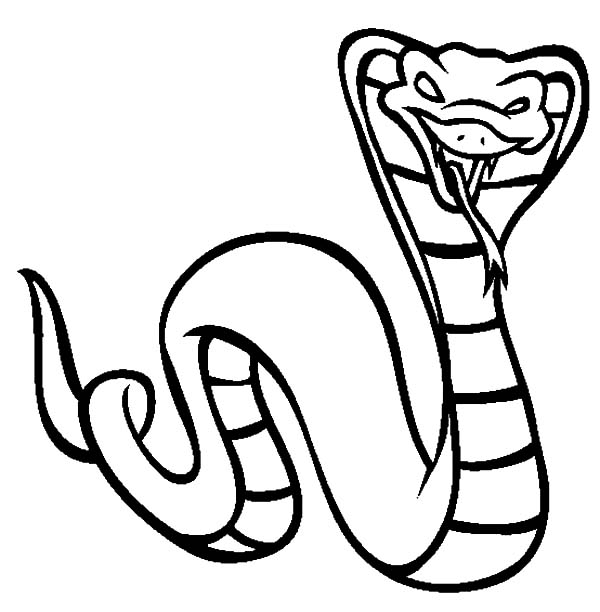 Viper Coloring Page