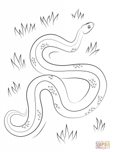 224x300 Saharan Horned Viper Download Coloring Pages