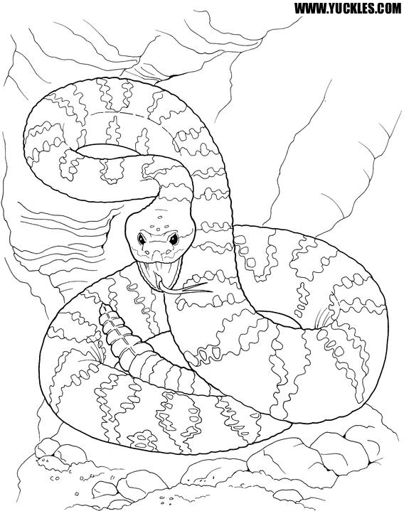 568x719 Viper Snake Coloring Page