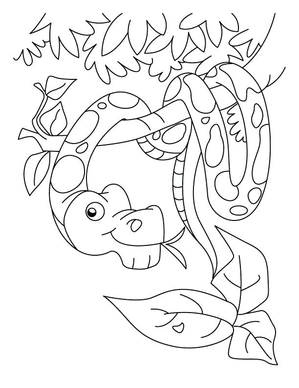612x792 Viper Snake Coloring Page Cobra Viper Snake Coloring