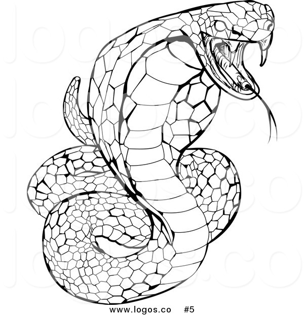 600x620 Spitting Cobra Coloring Pages Spitting Cobra Coloring Pages