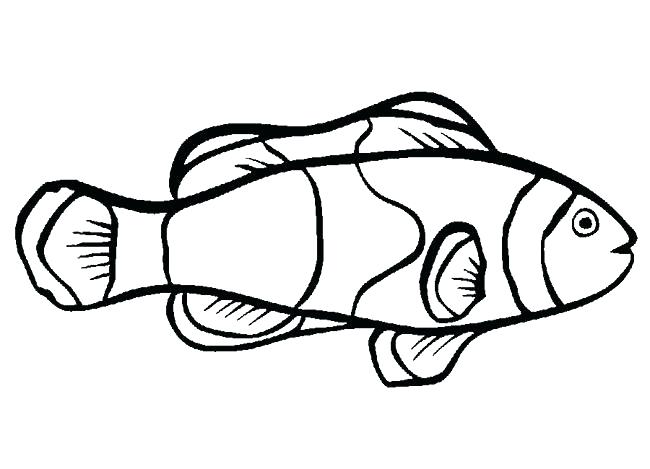 Eel Plus Eel Coloring Page For Kids Parramatta Eels Coloring Pages 650x469 Eel Plus Eel Coloring Page For Kids Parramatta Eels Coloring Pages
