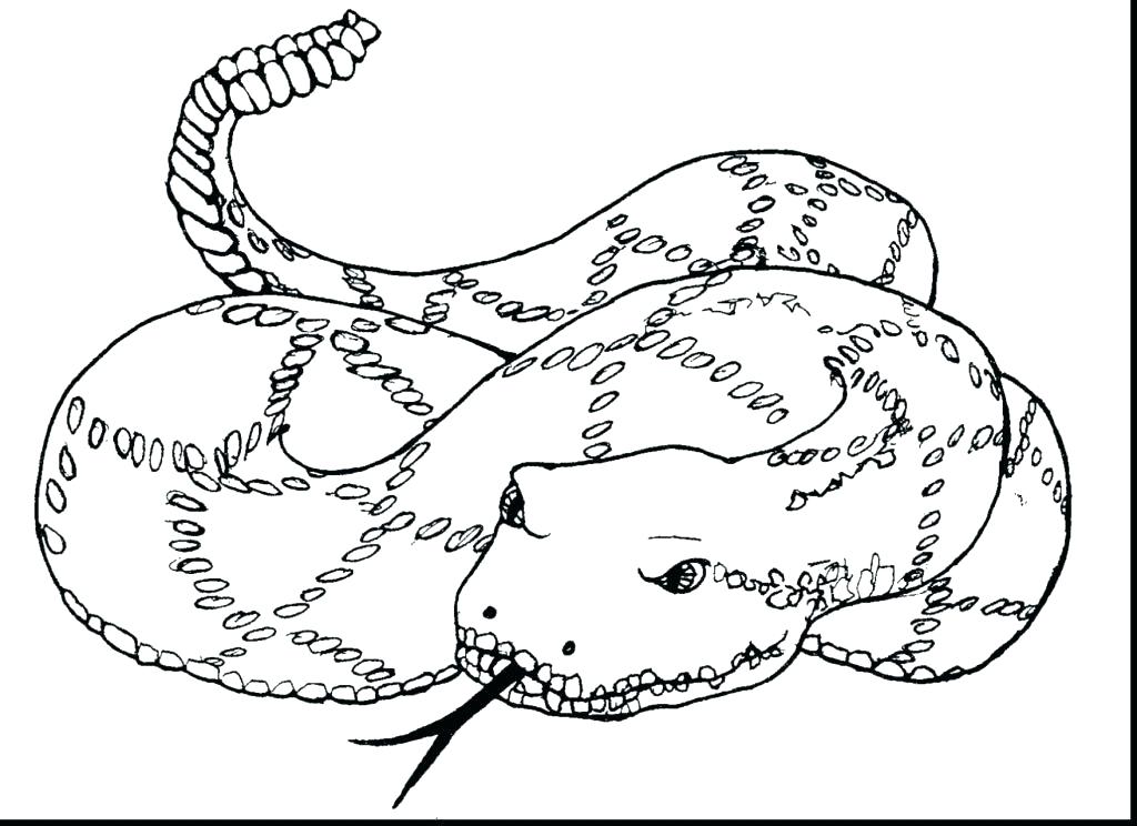 Rattlesnake Coloring Page Rattlesnake Coloring Page Rattlesnake 1024x744 Rattlesnake Coloring Page Rattlesnake Coloring Page Rattlesnake