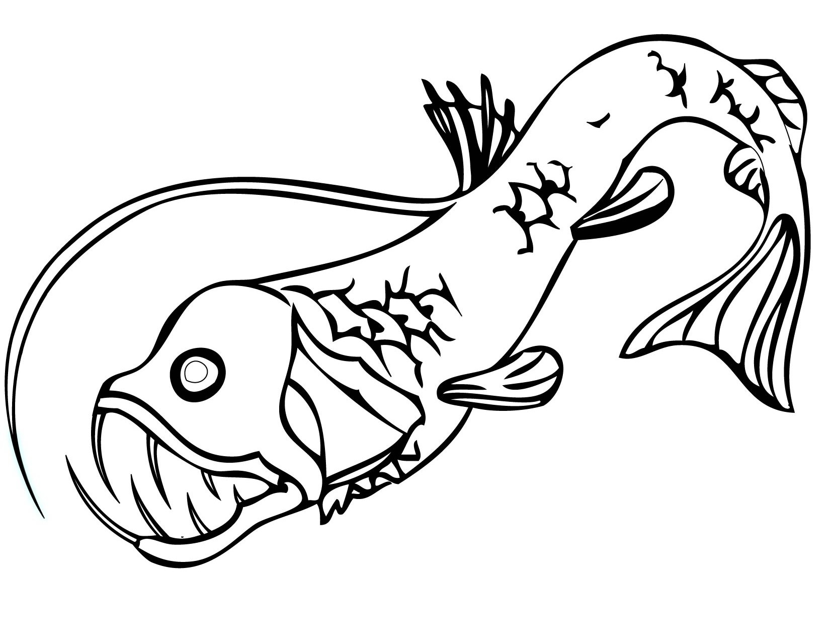 Viper Fishes Coloring Pages Collection Coloring For Kids 2018 1650x1275 Viper Fishes Coloring Pages Collection Coloring For Kids 2018