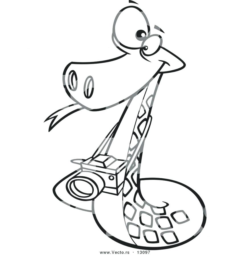 Coloring Pages 97 Awesome Snake Rattlesnake Sheets Free Coloring 878x895 Coloring Pages 97 Awesome Snake Rattlesnake Sheets Free Coloring