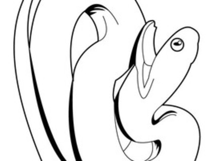 31 Black Mamba Coloring Pages, Top 25 Free Printable Snake 440x330 31 Black Mamba Coloring Pages, Top 25 Free Printable Snake