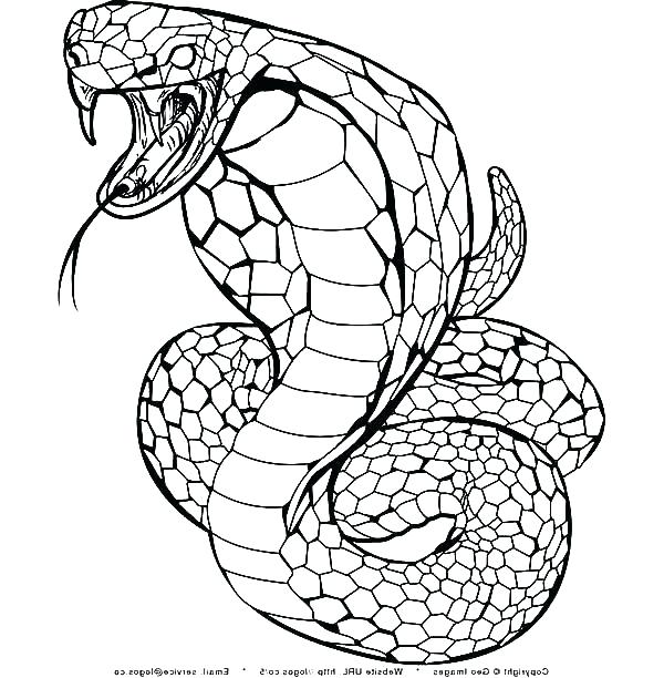 Rattlesnake Coloring Page Coloring Page Snake Snake Coloring Pages 600x612 Rattlesnake Coloring Page Coloring Page Snake Snake Coloring Pages