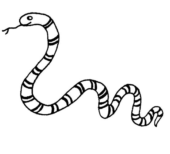 Snake Coloring Pages (13) Coloring Kids 554x502 Snake Coloring Pages (13) Coloring Kids