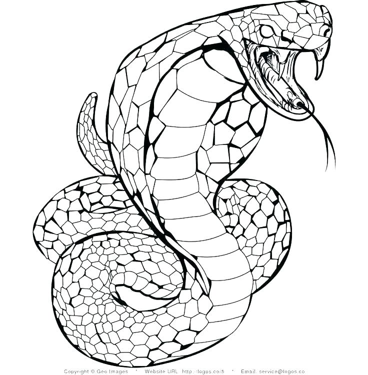 Snakes Coloring Pages 3 736x750 Snakes Coloring Pages 3