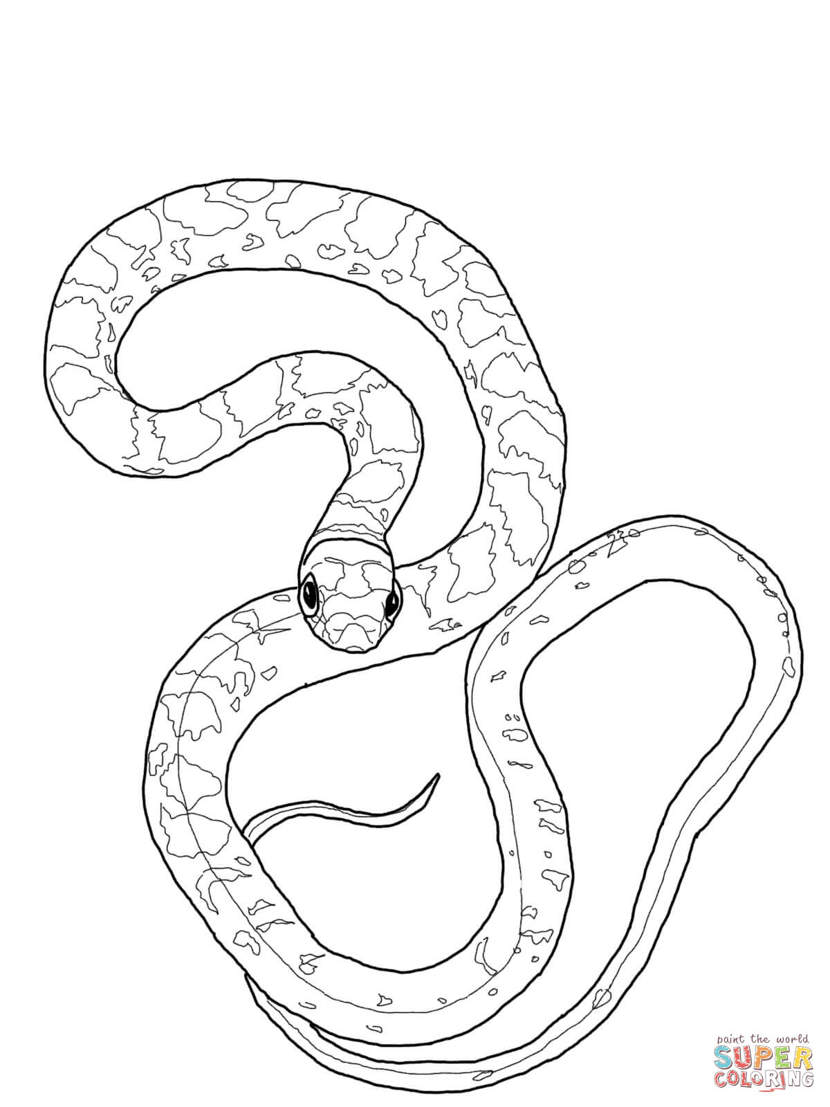 Black Mamba Snake Coloring Pages 1200x1600 Black Mamba Snake Coloring Pages