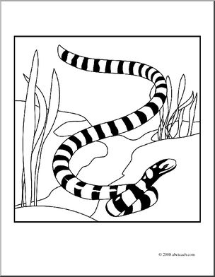 Clip Art Sea Snake (Coloring Page) I Abcteach 304x392 Clip Art Sea Snake (Coloring Page) I Abcteach