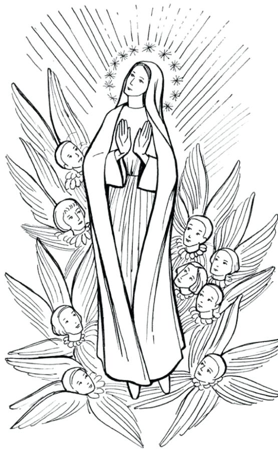 555x900 Virgin Mary Coloring Page Use Our Assumption Of The Blessed Virgin