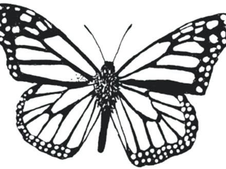 Virginia Coloring Page Virginia Map Coloring Page 440x330 Virginia Coloring Page Virginia Map Coloring Page