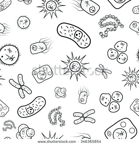 450x470 Bacteria Coloring Pages X Free Bacteria Coloring Pages Bacteria