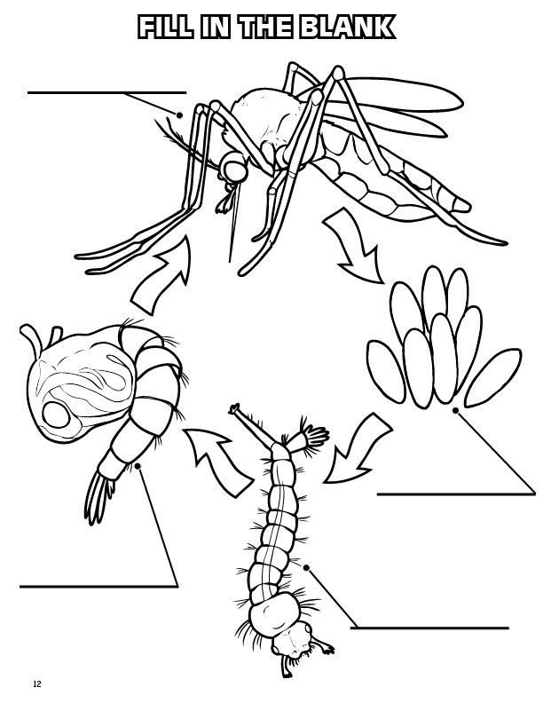 612x792 Coloring Books Zika