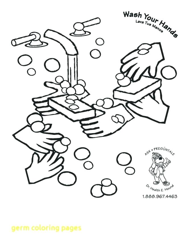 660x854 Bacteria Coloring Pages Food Chain Coloring Page Forest Floor Web