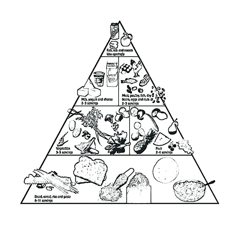 800x743 Food Pyramid Coloring Pages For Preschool Food Coloring Page Food