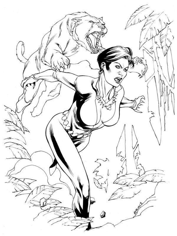 600x801 Jla January Vixen Sotd By