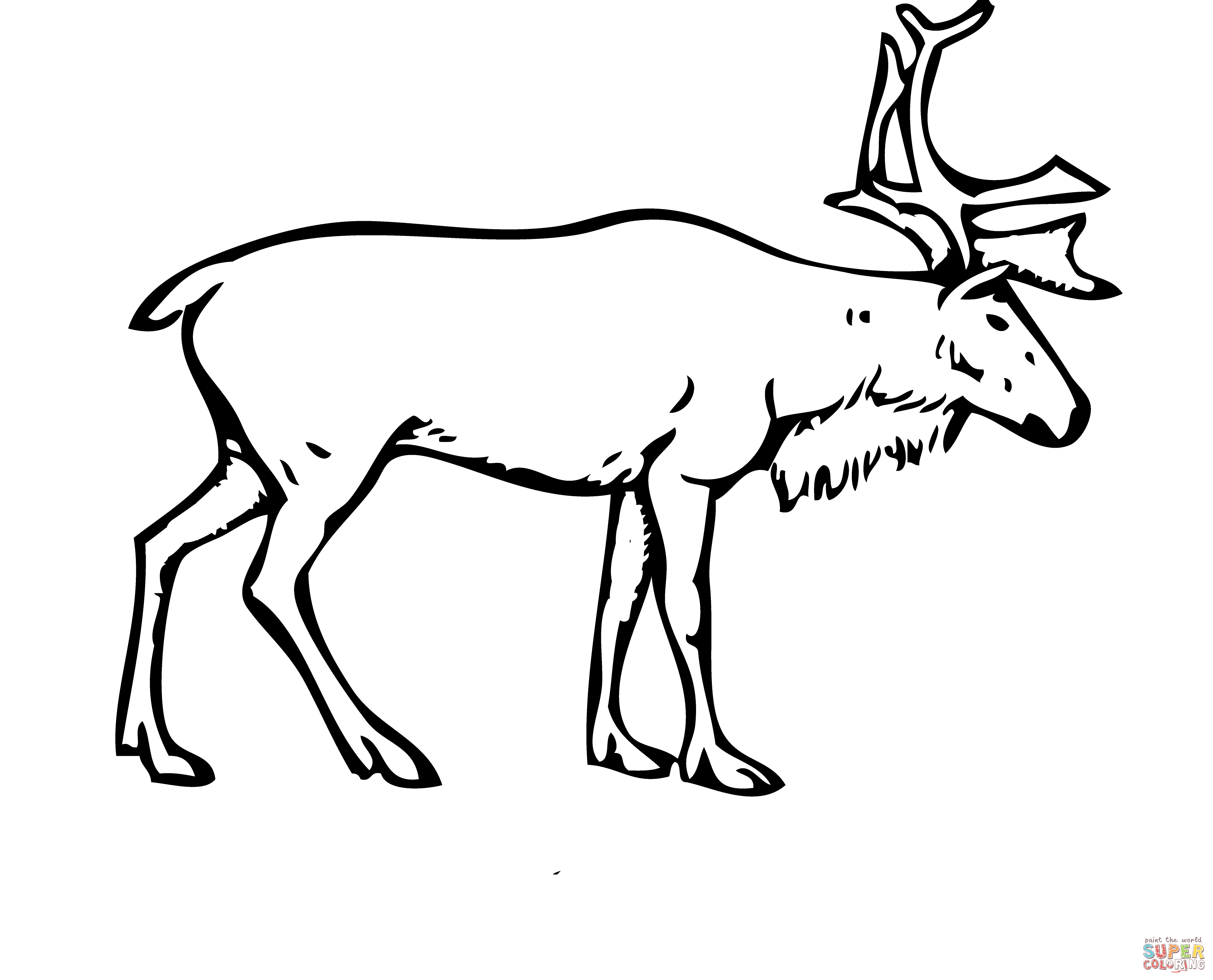 3597x2907 Top 69 Reindeer Coloring Pages