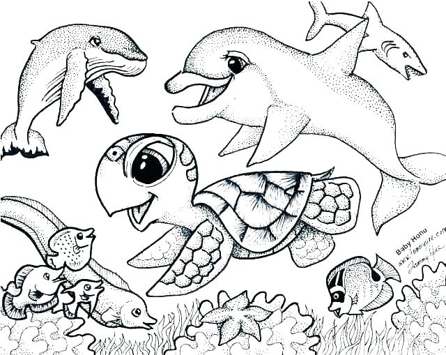Otter Coloring Page Otter Coloring Page Sea Urchin Coloring Page 640x509 Otter Coloring Page Otter Coloring Page Sea Urchin Coloring Page