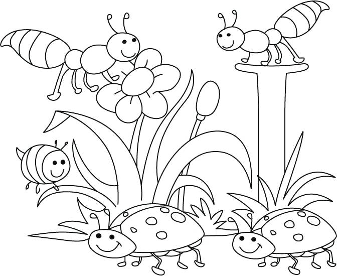 672x550 Coloring Bug Coloring Page Pages For Preschool Extraordinary