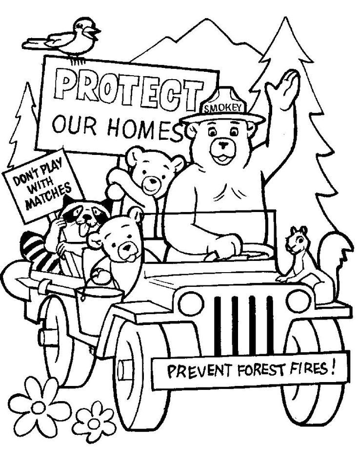 Smokey The Bear And Friends Coloring Page Crafts Coloring Pages 736x921 Smokey The Bear And Friends Coloring Page Crafts Coloring Pages