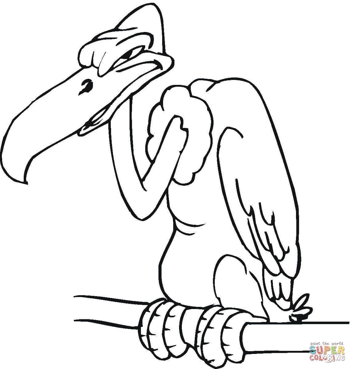 1144x1200 Love Vulture Coloring Pages Buzzard Cartoon Ca