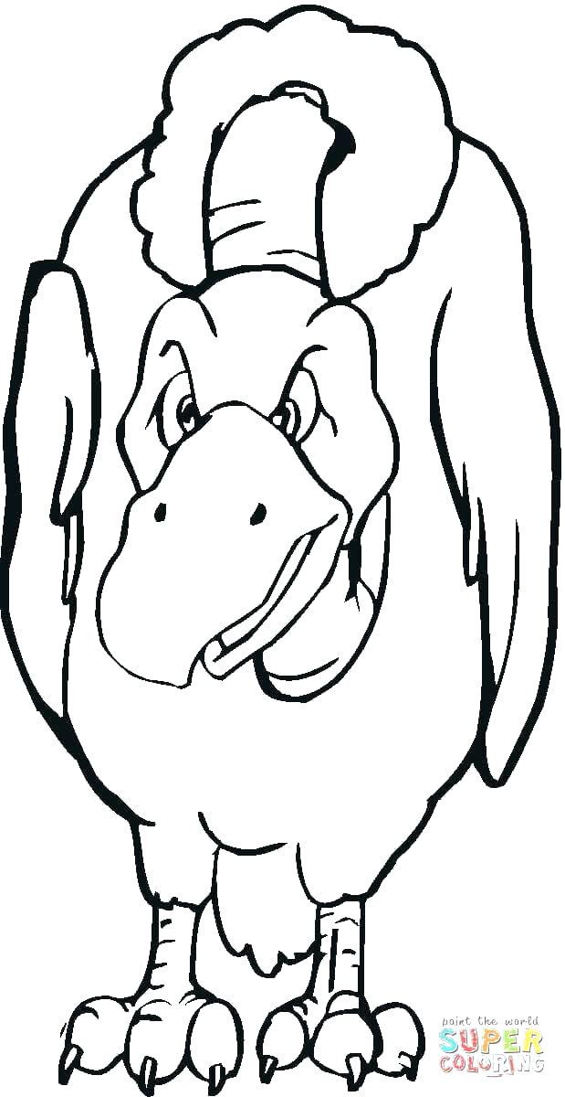 619x1200 Seagull Coloring Pages Vulture Coloring Pages Click The Vulture