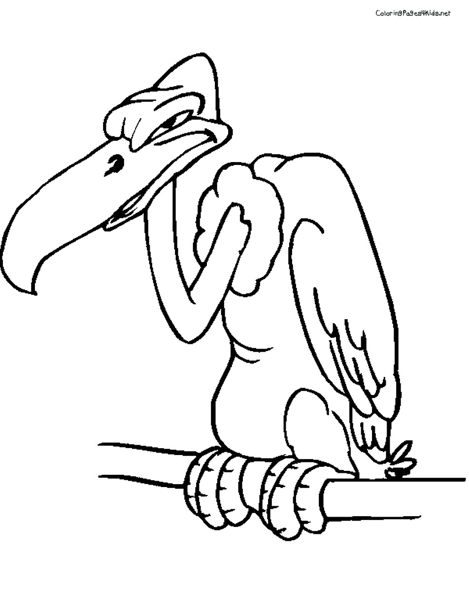 952x1200 Awesome Vulture Page To Color Collection Printable Coloring Sheet