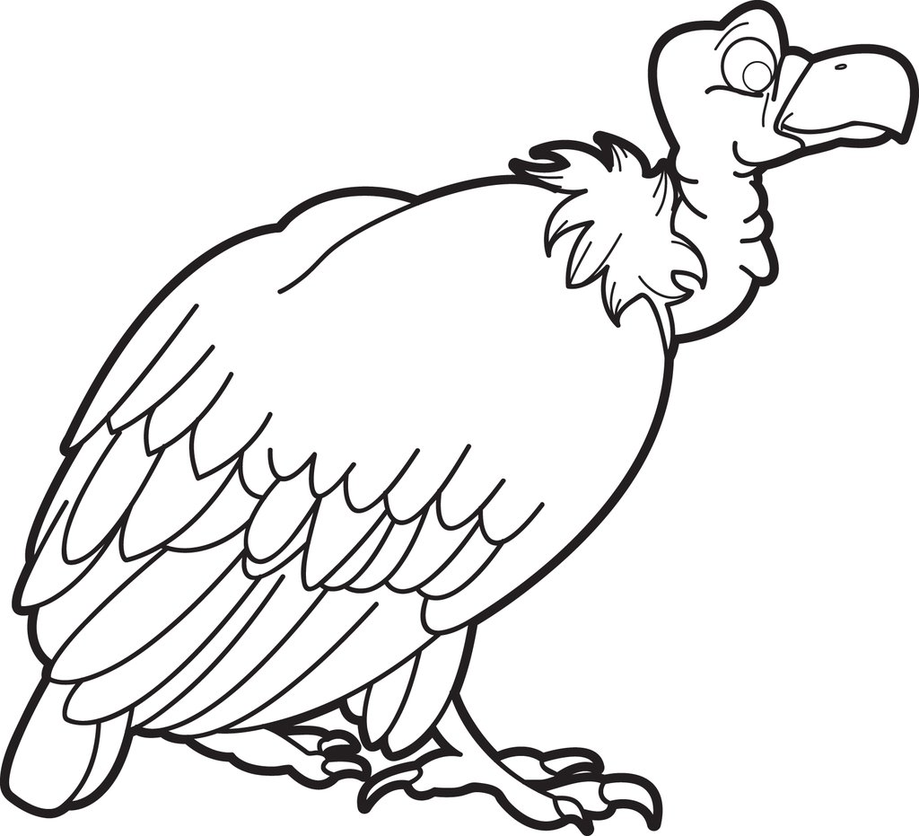 1024x931 Free, Printable Vulture Coloring Page For Kids Supplyme