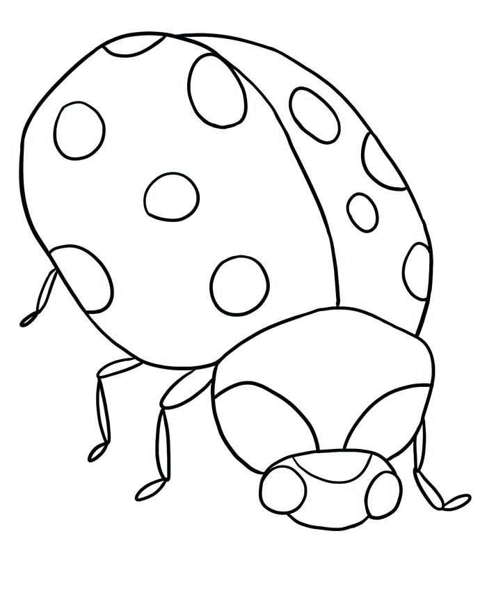 Bug Coloring Page Return To Bug Coloring Pages Section Ladybug 700x875 Bug Coloring Page Return To Bug Coloring Pages Section Ladybug