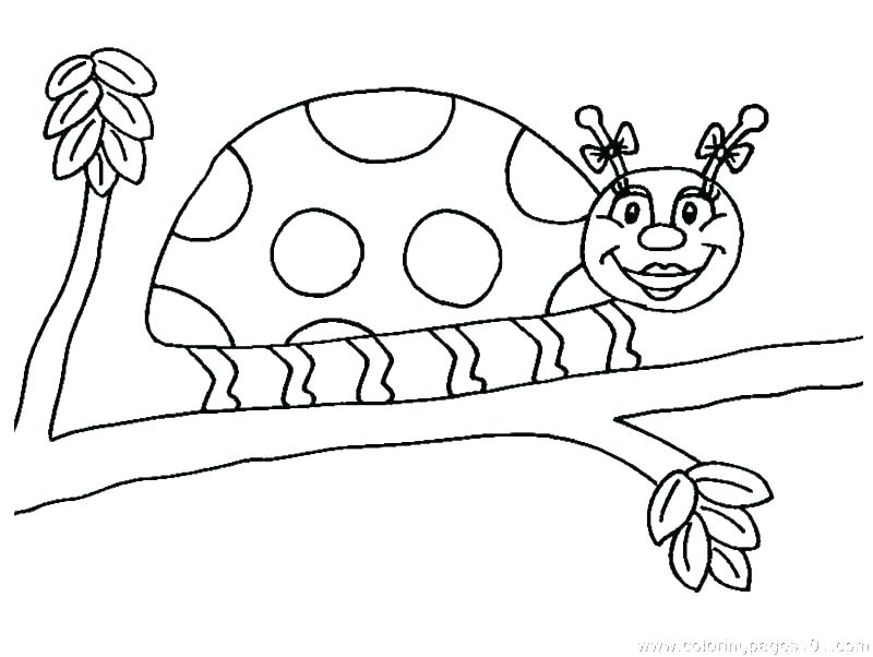 Bug Coloring Pages Lady Bug Coloring Page Ladybugs Coloring Pages 800x602 Bug Coloring Pages Lady Bug Coloring Page Ladybugs Coloring Pages