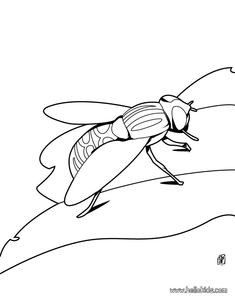 Frightening Beetle Coloring Pages For Kids Ladybug Girl Blue 820x1050 Frightening Beetle Coloring Pages For Kids Ladybug Girl Blue