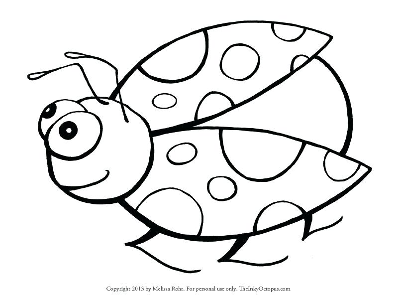 Bug Coloring Page Lady Bug Coloring Sheet Free Printable Vw Bug 800x618 Bug Coloring Page Lady Bug Coloring Sheet Free Printable Vw Bug