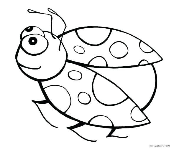Bug Coloring Pages Lady Bug Coloring Pages Ideal Ladybug Coloring 590x506 Bug Coloring Pages Lady Bug Coloring Pages Ideal Ladybug Coloring