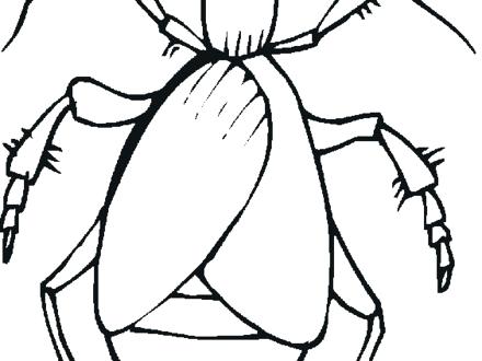 Bugs Life Printable Coloring Pages Bug Coloring Page Lady Bug 440x330 Bugs Life Printable Coloring Pages Bug Coloring Page Lady Bug