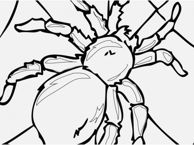 Printable Coloring Pages Vw Bug Shoot Insect Coloring Pages 7730 640x480 Printable Coloring Pages Vw Bug Shoot Insect Coloring Pages 7730