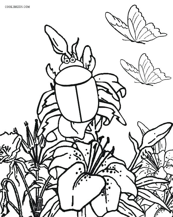 Bug Coloring Page Bugs Coloring Page Best Bug Coloring Pages 600x750 Bug Coloring Page Bugs Coloring Page Best Bug Coloring Pages
