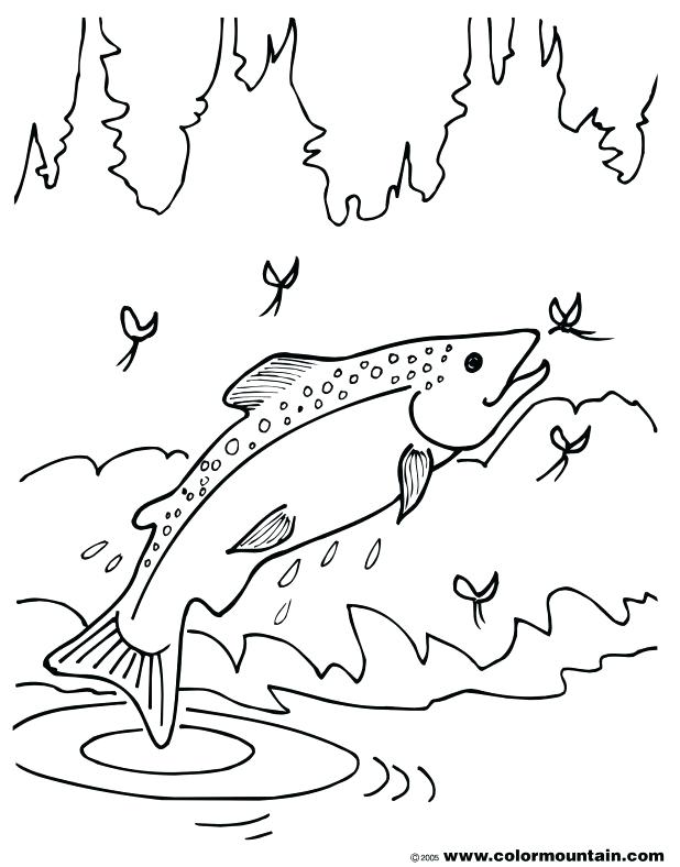 Salmon Coloring Page Extraordinary Ideas Pike Animal Coloring 618x788 Salmon Coloring Page Extraordinary Ideas Pike Animal Coloring
