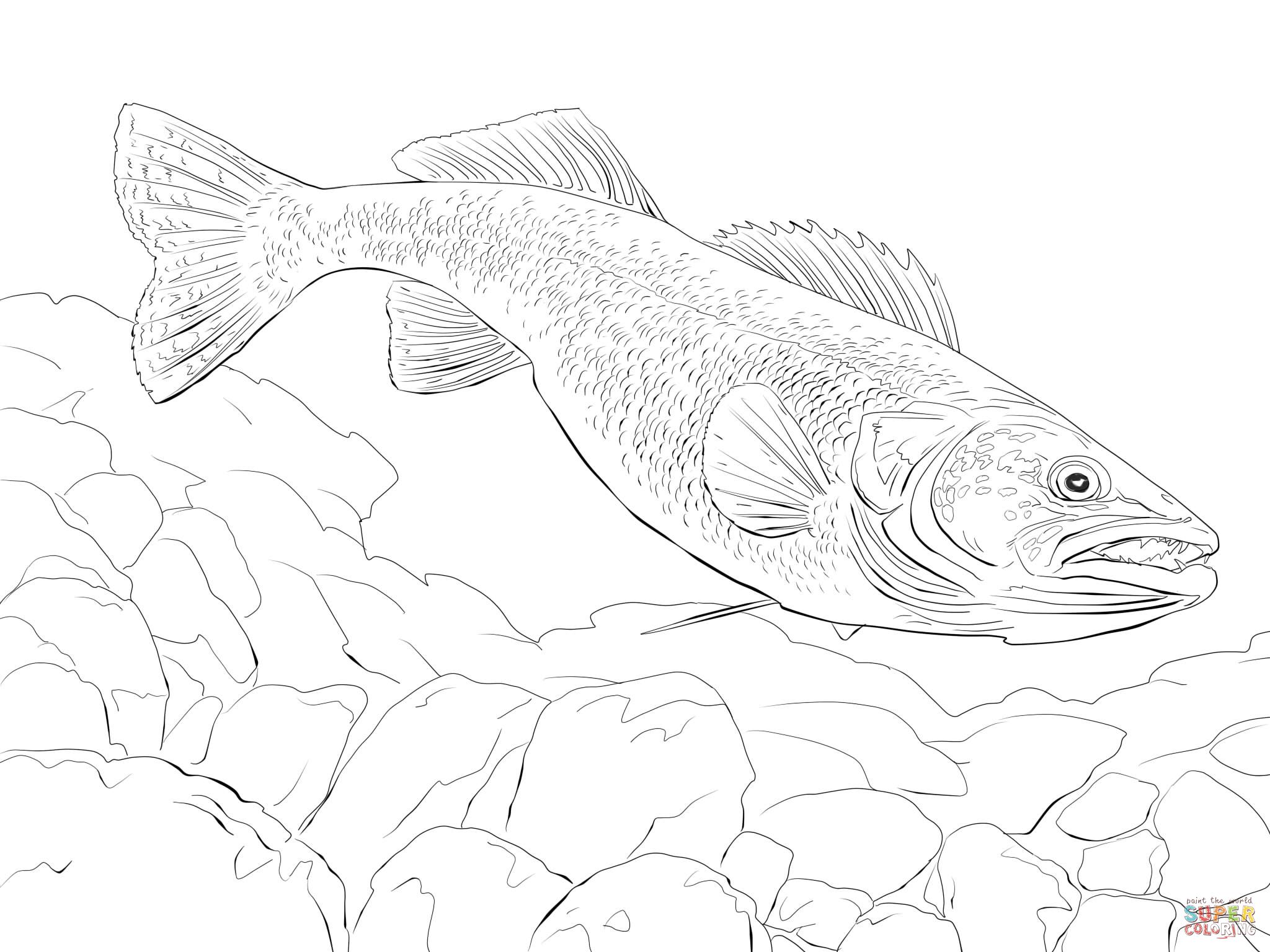 Walleye Fish Coloring Page.jpg Wood Projects 2048x1536 Walleye Fish Coloring Page.jpg Wood Projects