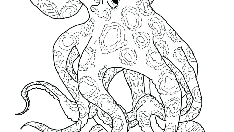 Squid Coloring Page 960x544 Squid Coloring Page