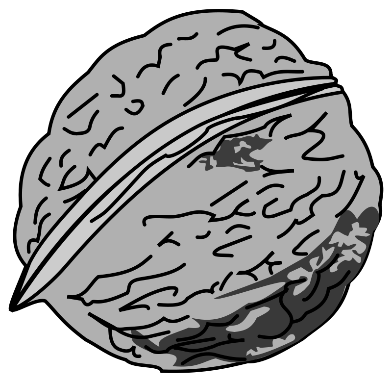 Nut Clipart Black And White 800x779 Nut Clipart Black And White