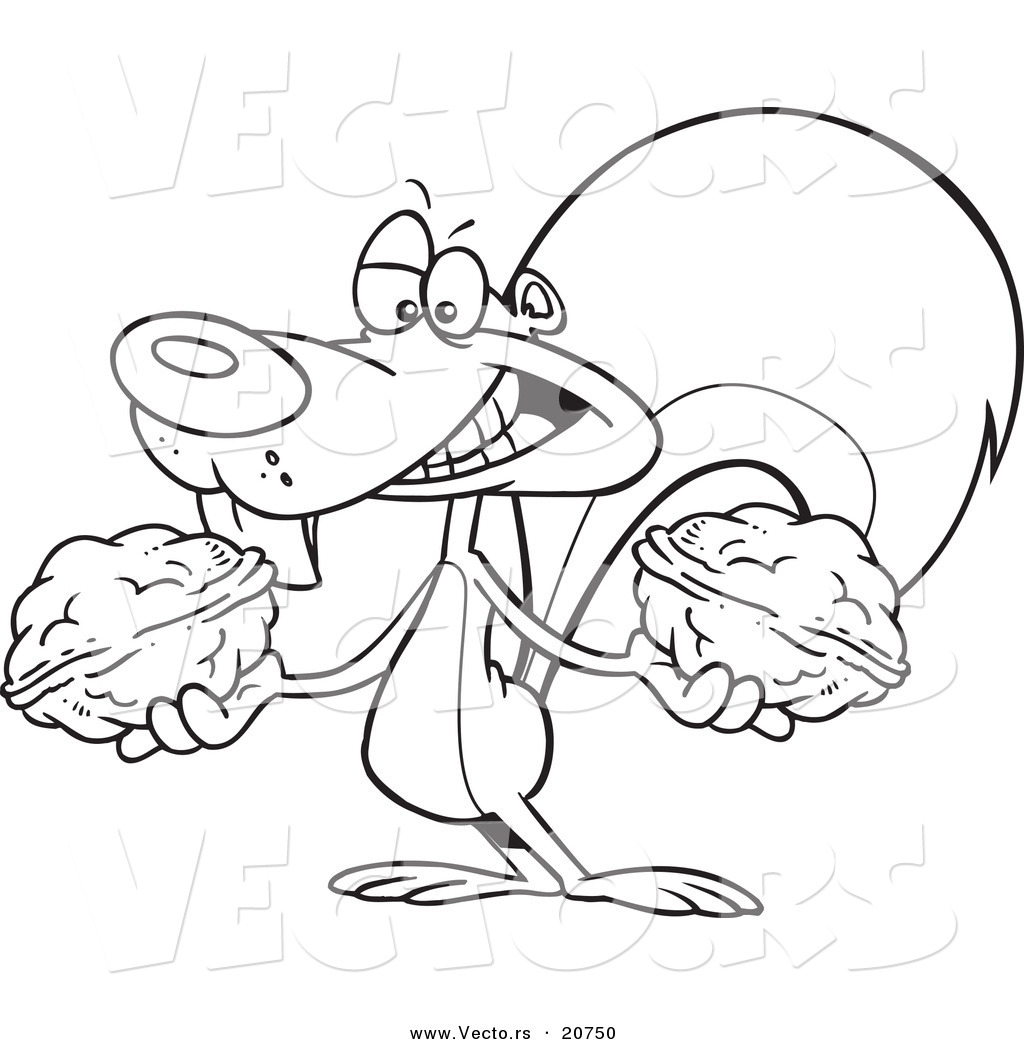 Vector Of A Cartoon Squirrel Holding Two Nuts 1024x1044 Vector Of A Cartoon Squirrel Holding Two Nuts