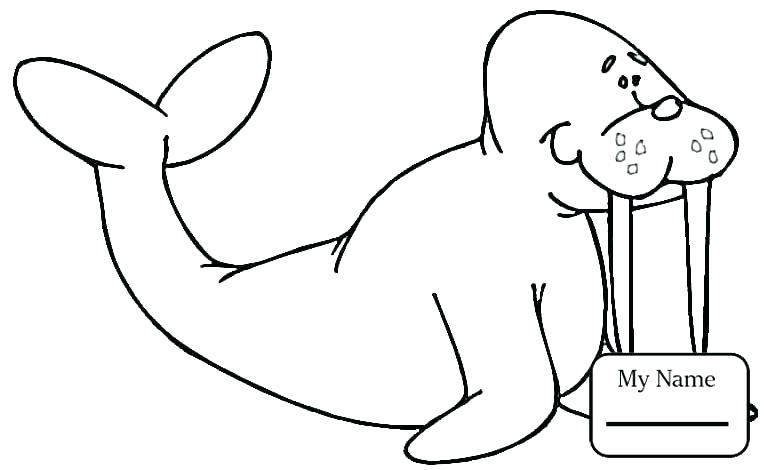 765x470 Sea Creature Templates Printable Crafts Colouring Pages Walrus
